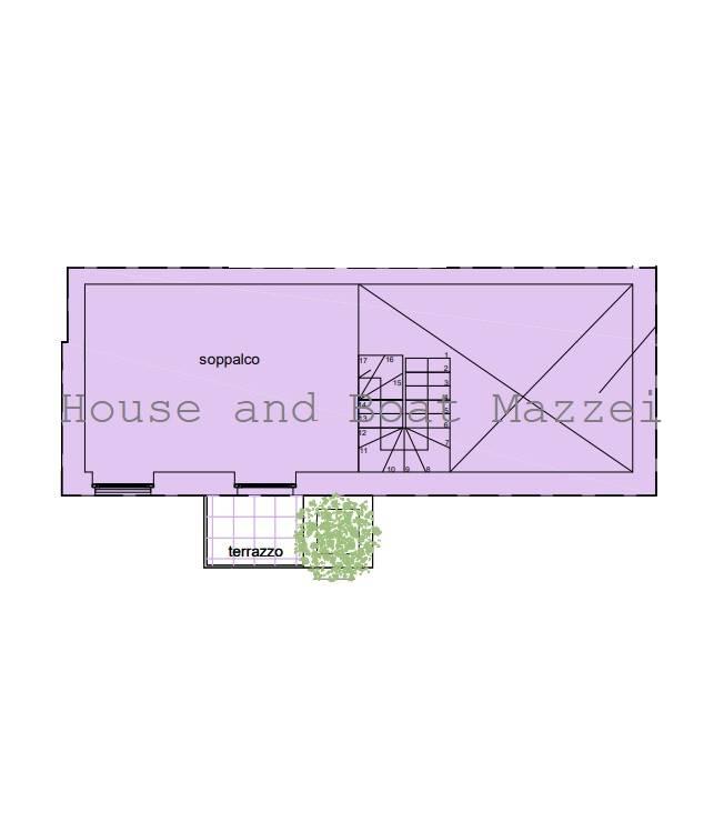 immagine annuncio 7 di 12