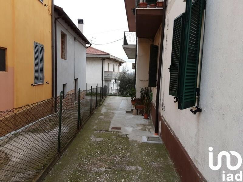 immagine annuncio 1 di 14