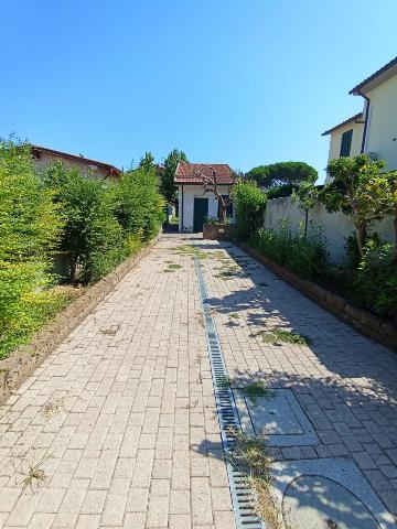 insertion image