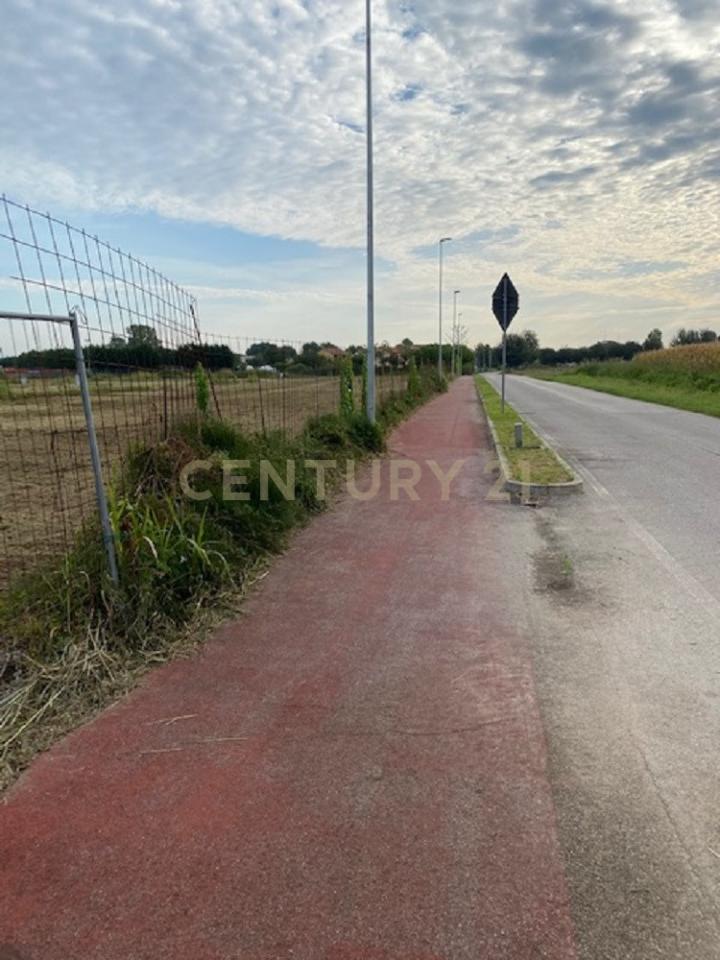 immagine annuncio 5 di 12