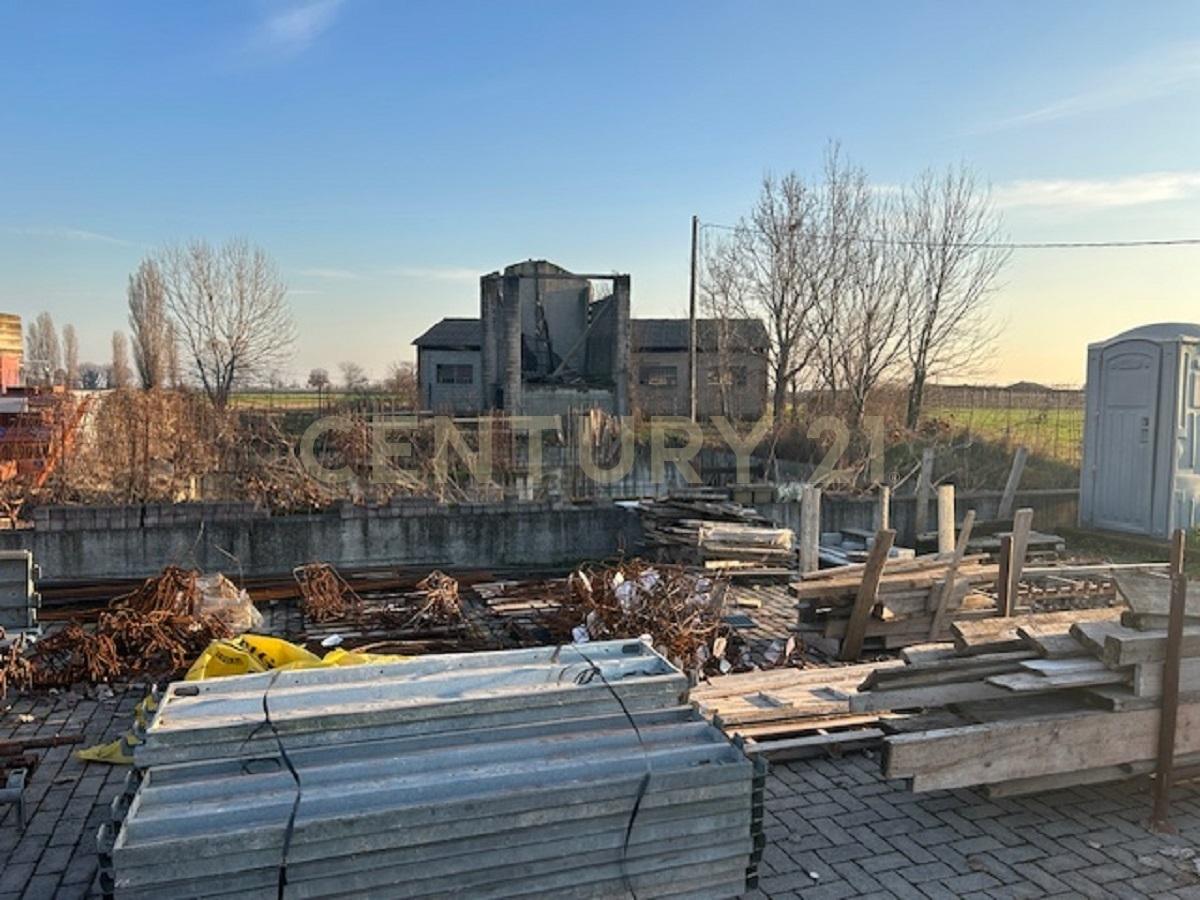 immagine annuncio 2 di 11