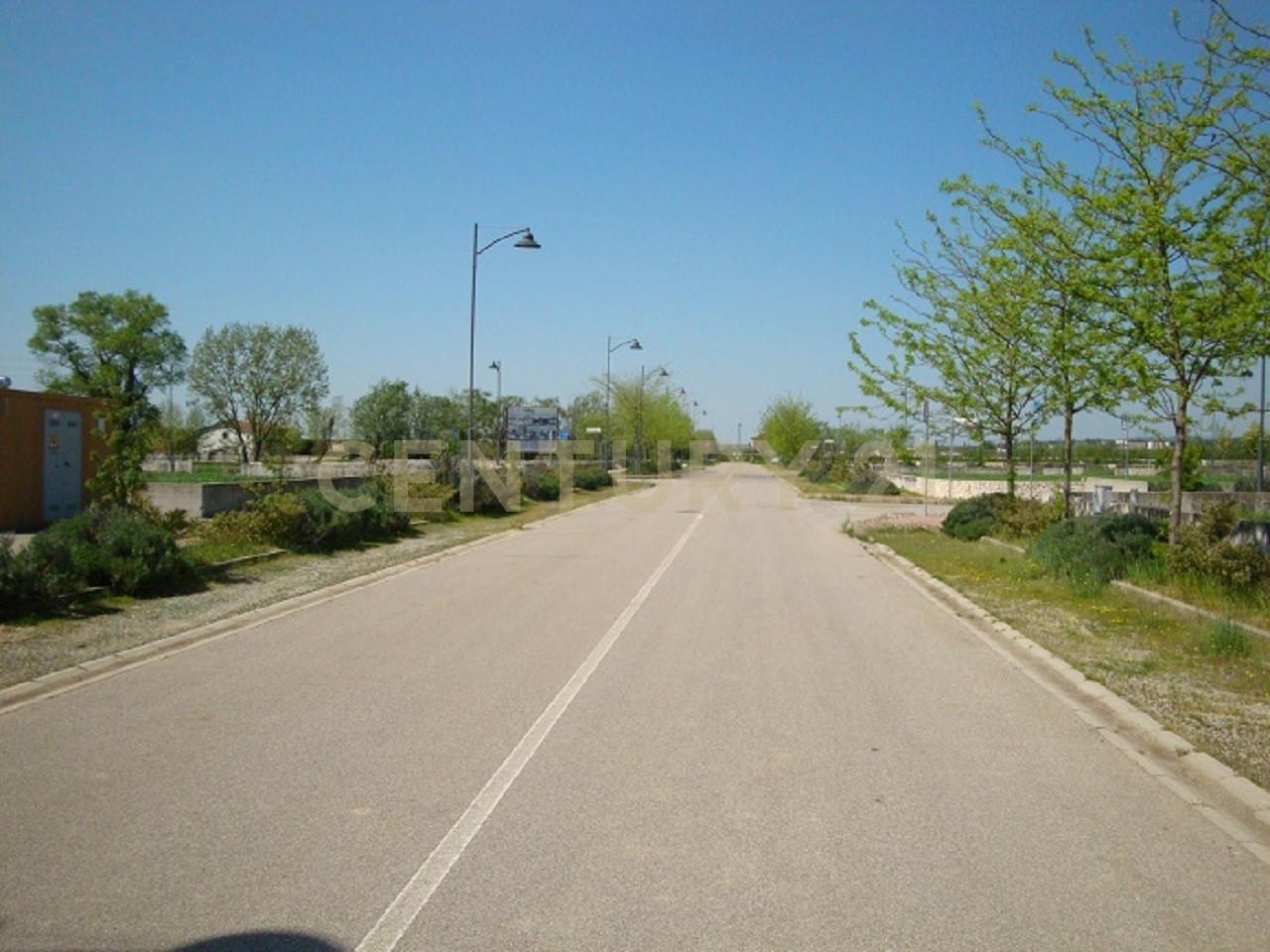 immagine annuncio 8 di 12