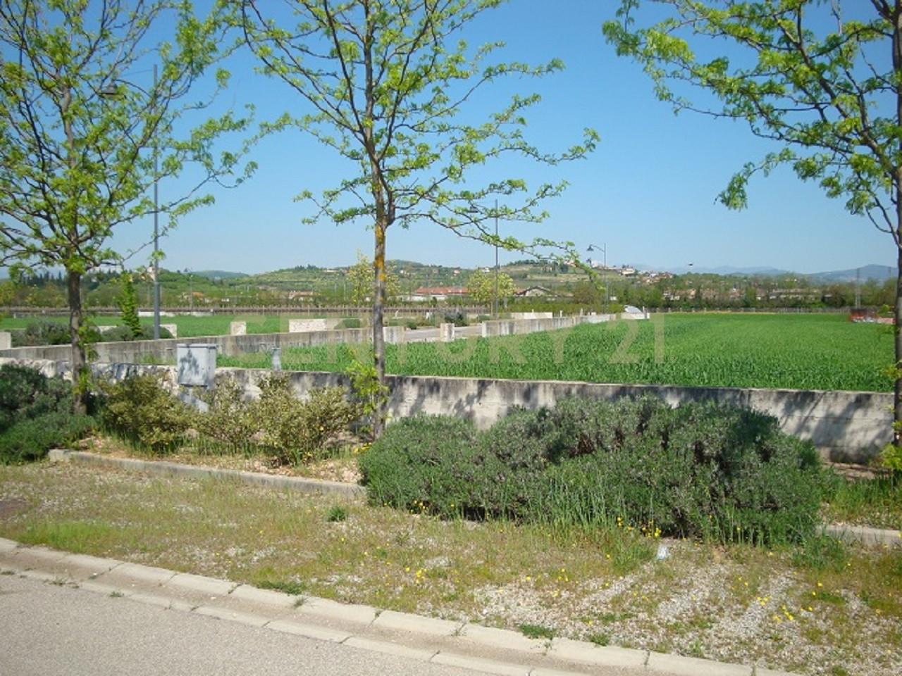 immagine annuncio 9 di 12