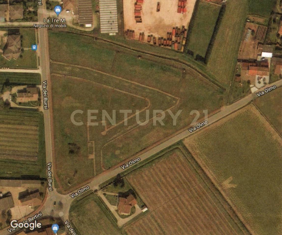immagine annuncio 1 di 13