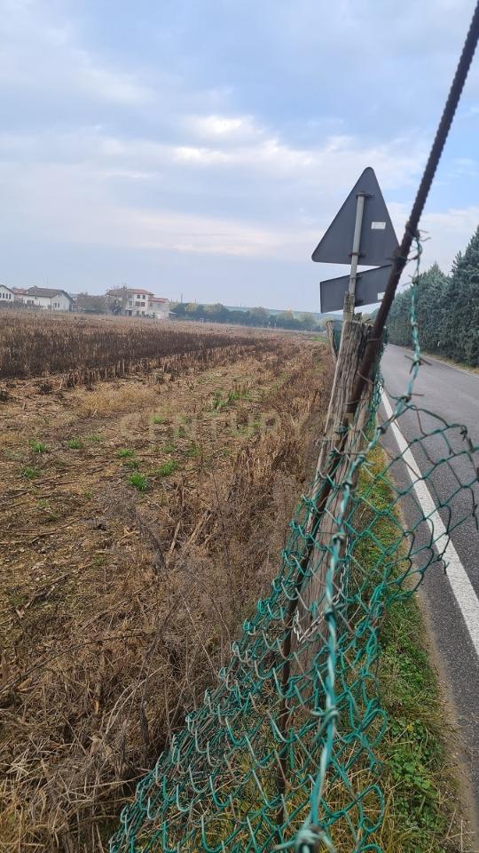 immagine annuncio 9 di 11