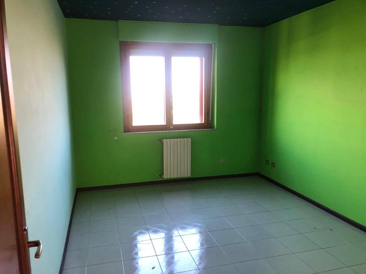 immagine annuncio 8 di 14