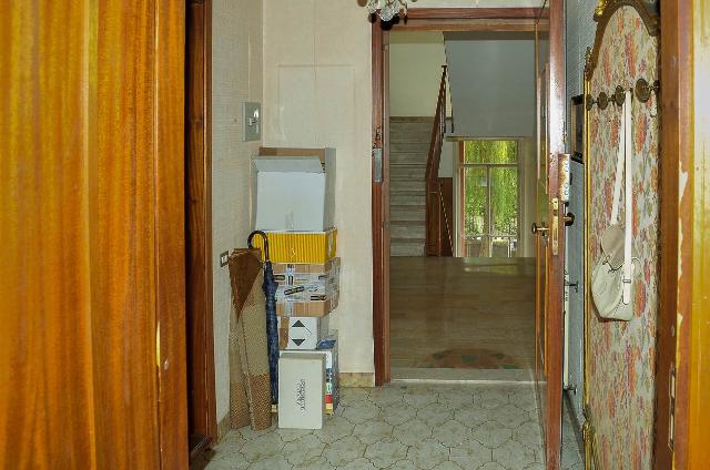 insertion image