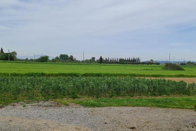 Terreno agricolo in {3}, - Foto 1