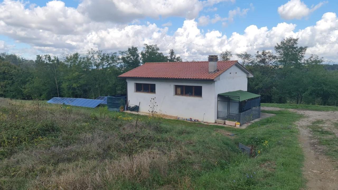 immagine annuncio 11 di 12