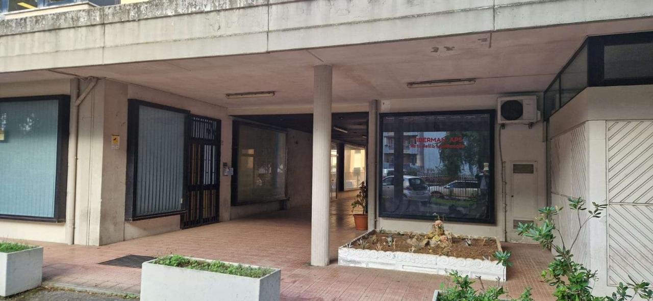 Negozio in Corso Lazio  13, Frosinone, {3} - Foto 2