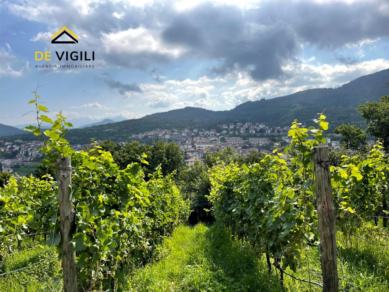 Terreno agricolo in vendita a Trento