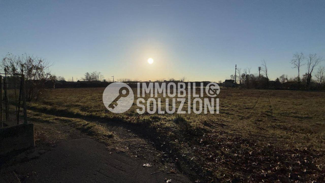 immagine annuncio 5 di 8