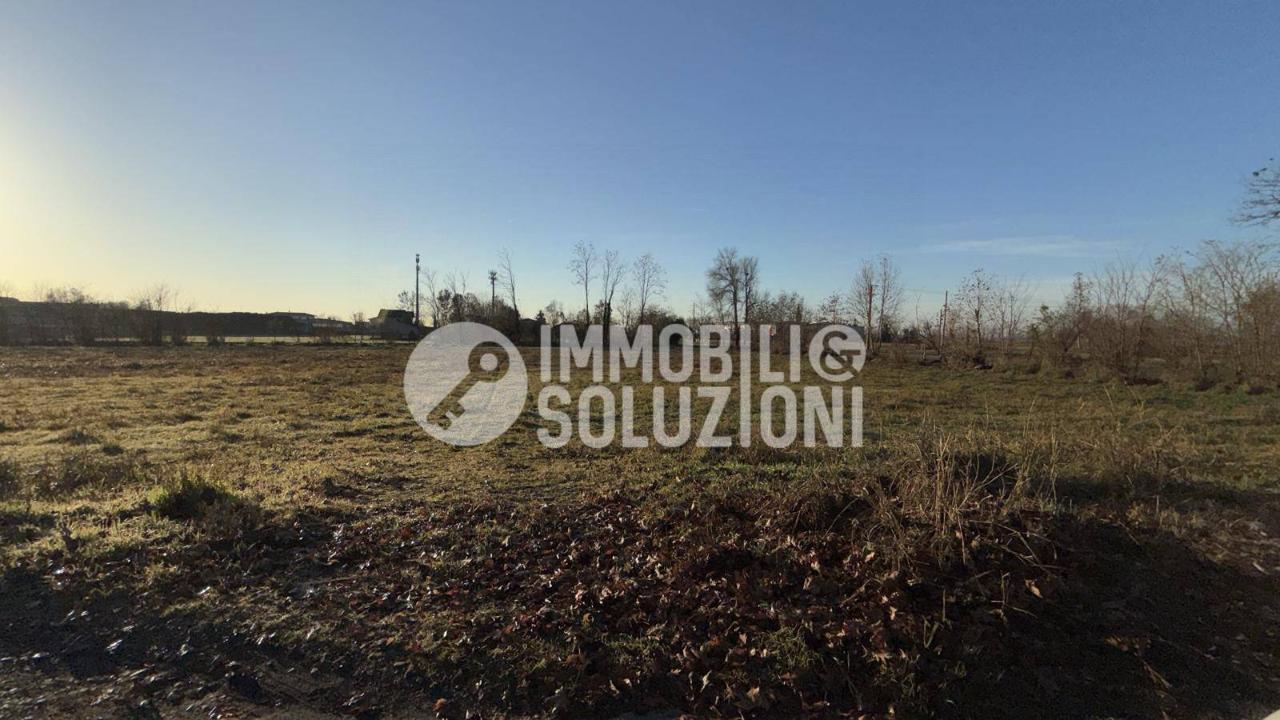 immagine annuncio 2 di 9