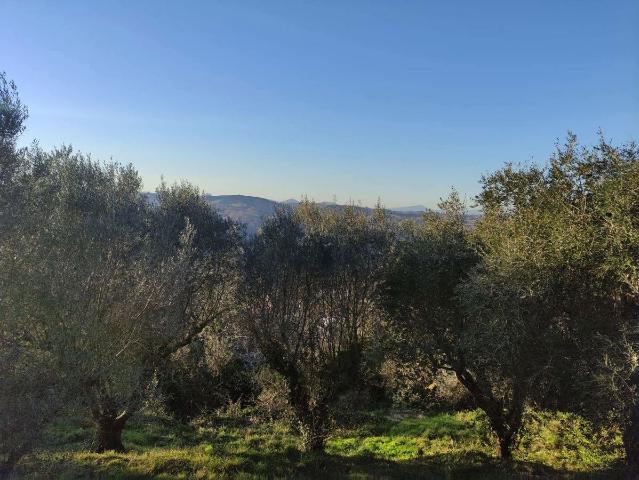 Building land in Via delle Porcineta Snc, Formello - Photo 1