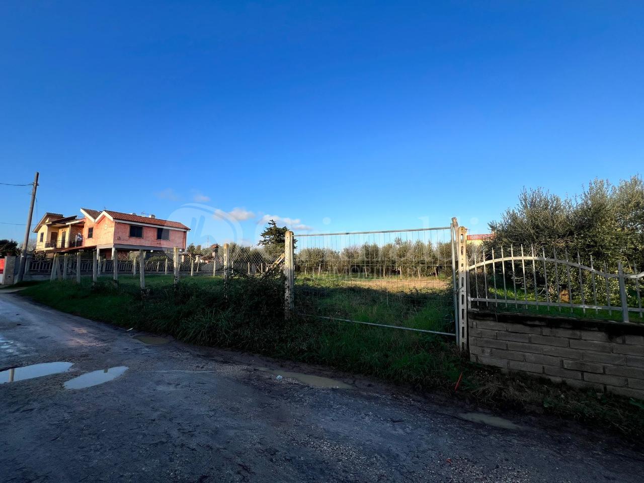 immagine annuncio 3 di 7