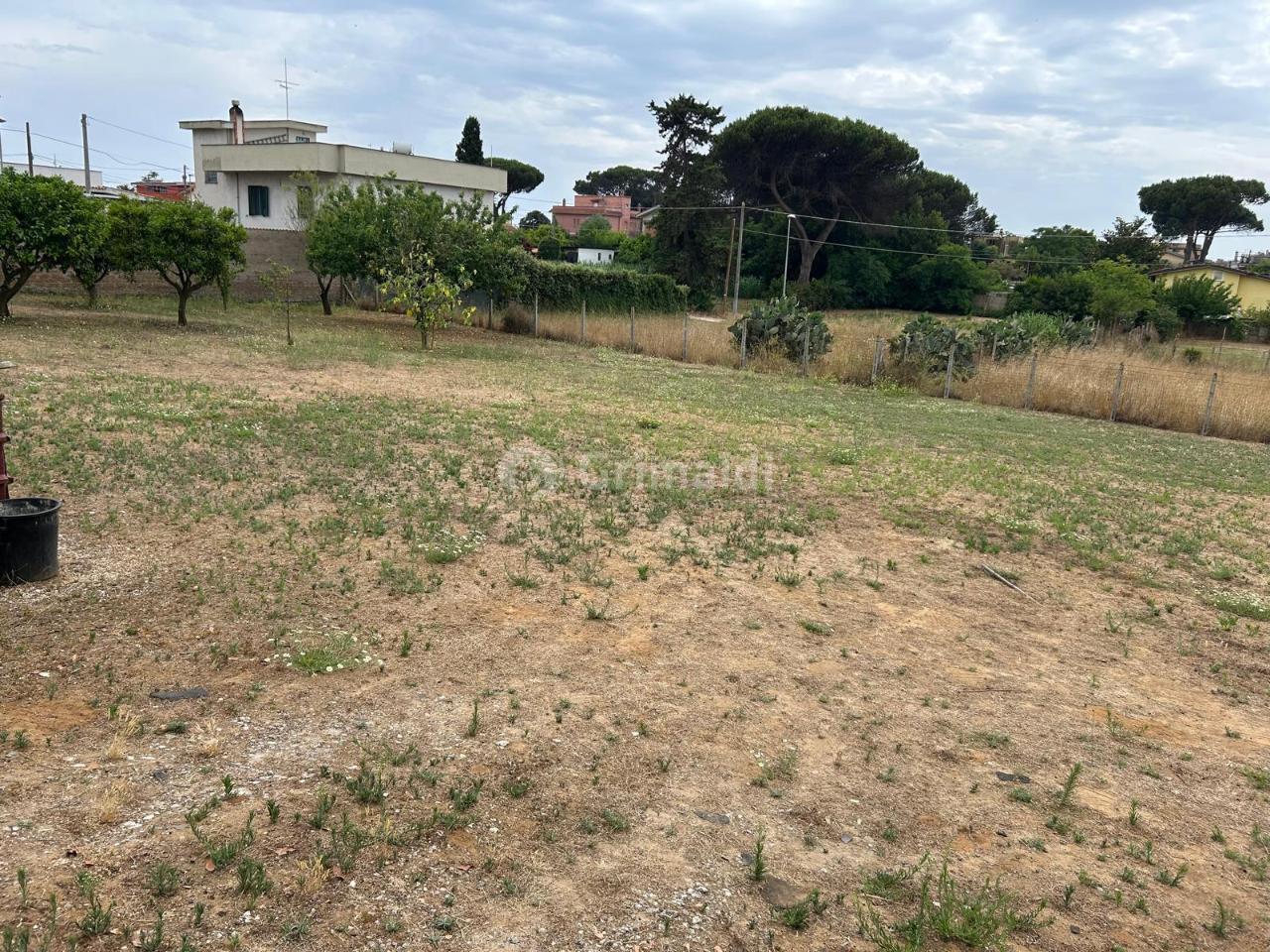 immagine annuncio 3 di 6