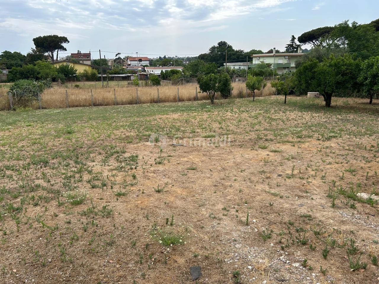 immagine annuncio 2 di 6