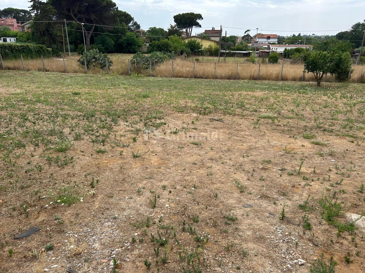 immagine annuncio 4 di 6