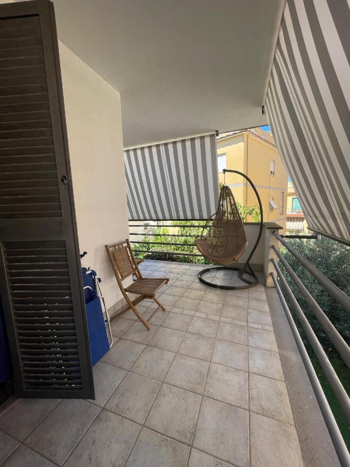 immagine annuncio 7 di 11