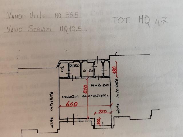 insertion image