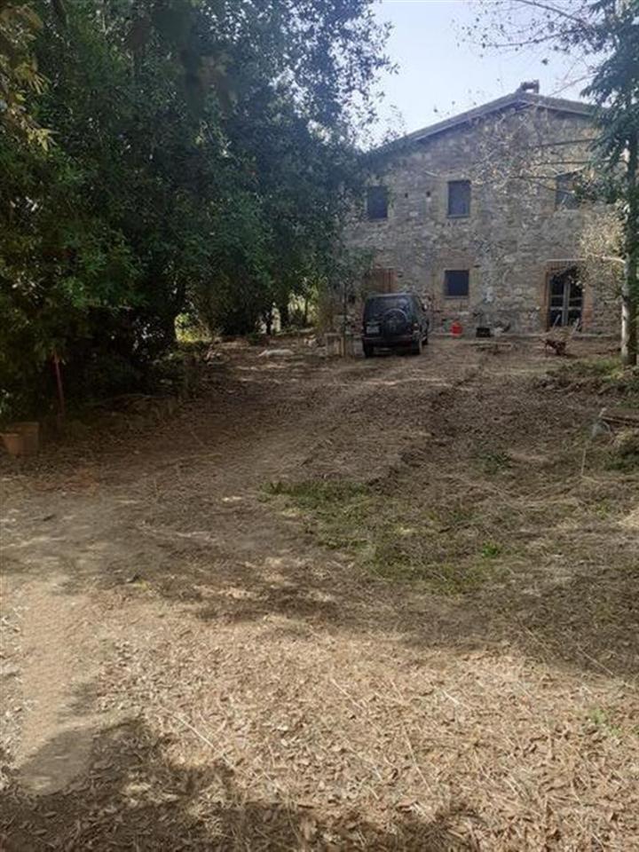 Terreno agricolo in vendita a Civitella D'Agliano