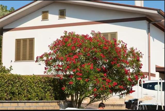 Villa in Località Colle Selva, Gallicano nel Lazio - Foto 1