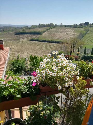 Vierzimmerwohnung in Via Abruzzo, Montepulciano - Foto 1