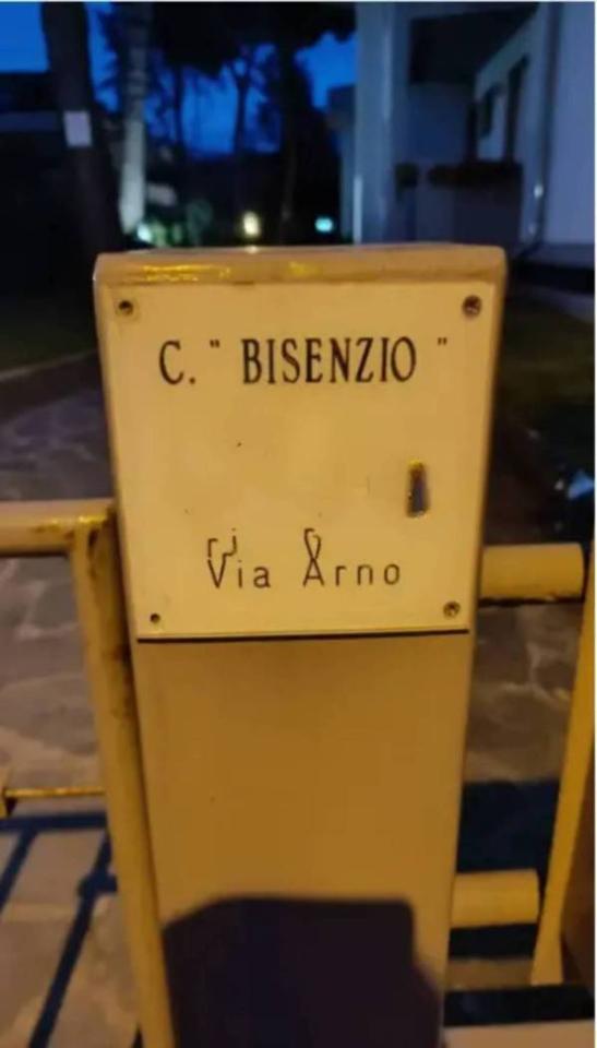 immagine annuncio 6 di 7