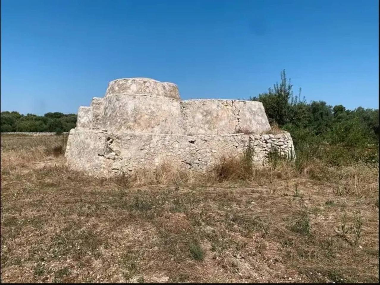 immagine annuncio 1 di 6