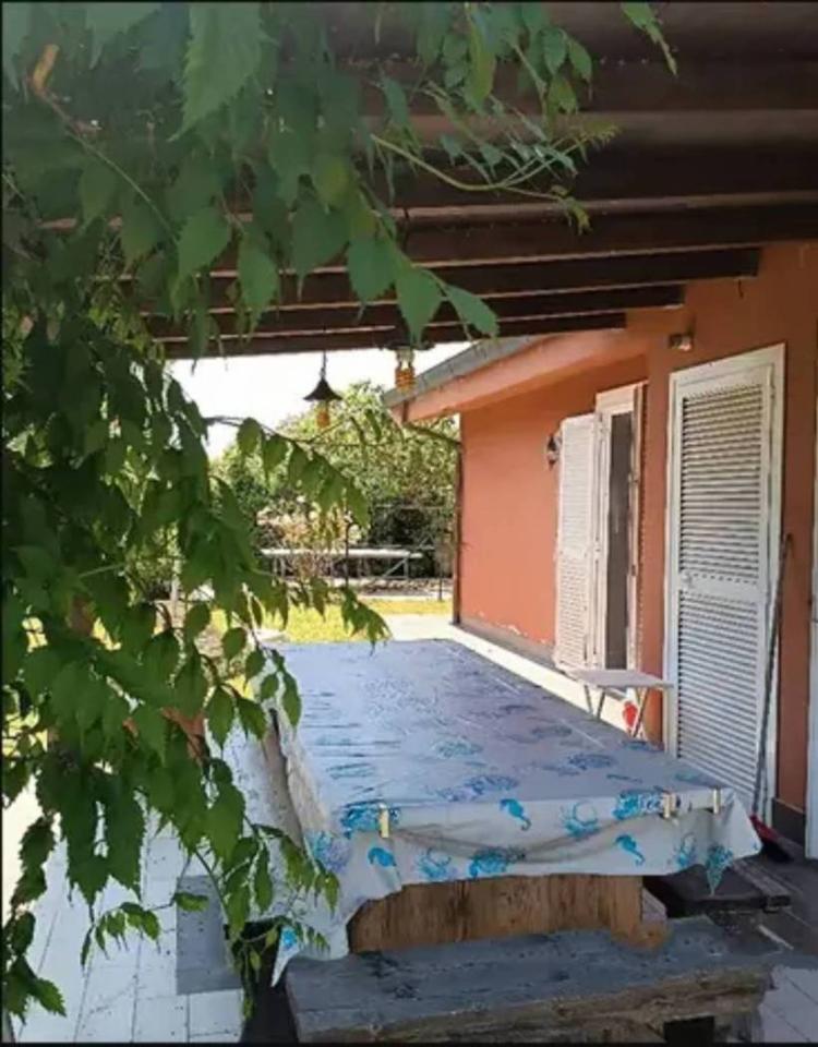 immagine annuncio 1 di 6