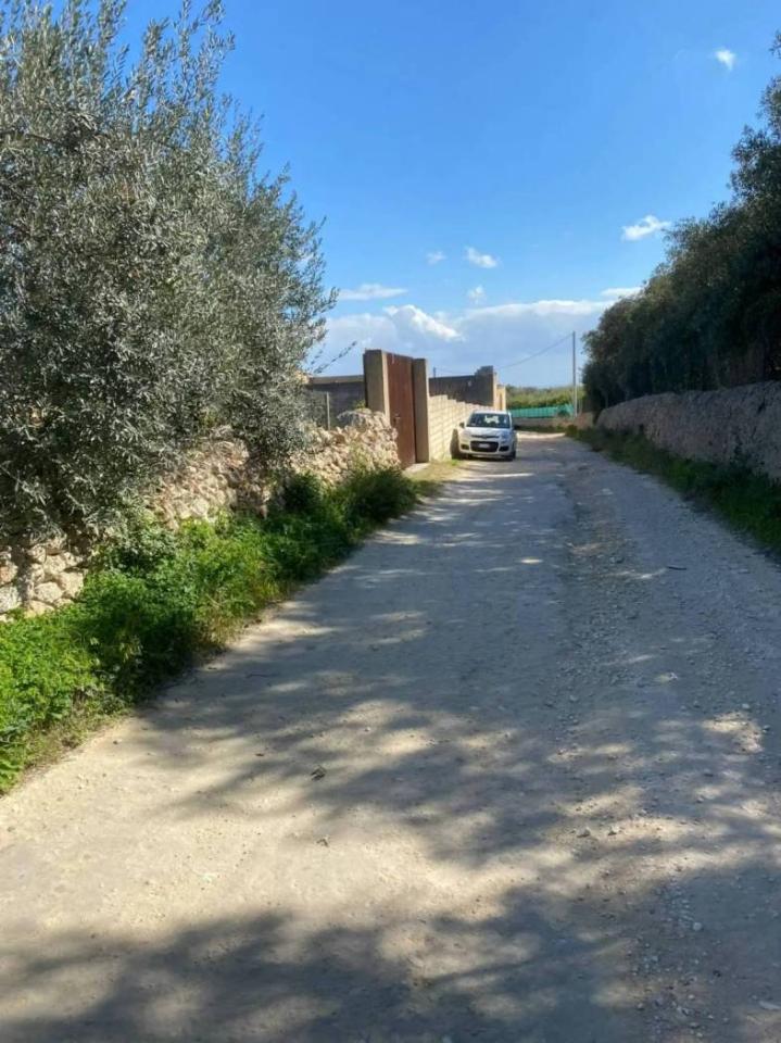 immagine annuncio 1 di 11