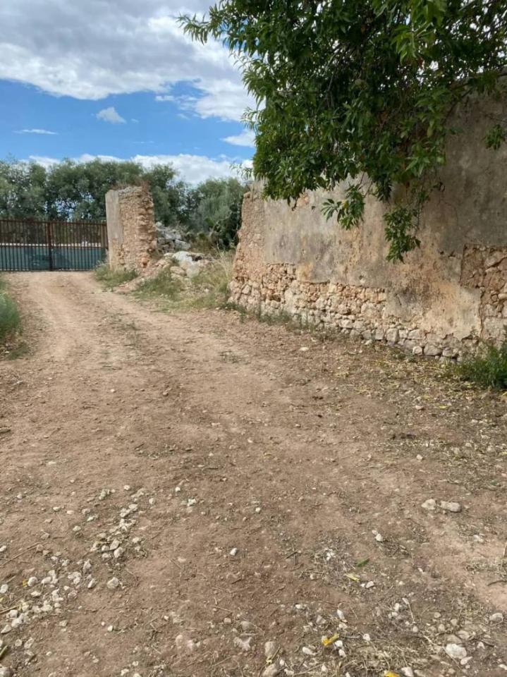 immagine annuncio 6 di 11