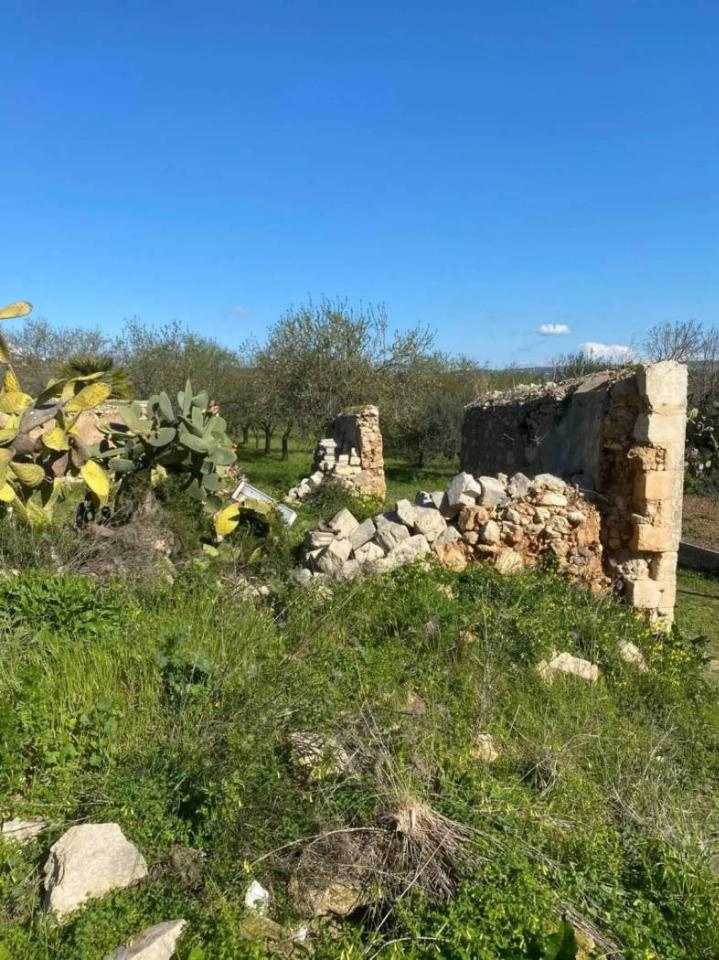 immagine annuncio 9 di 11