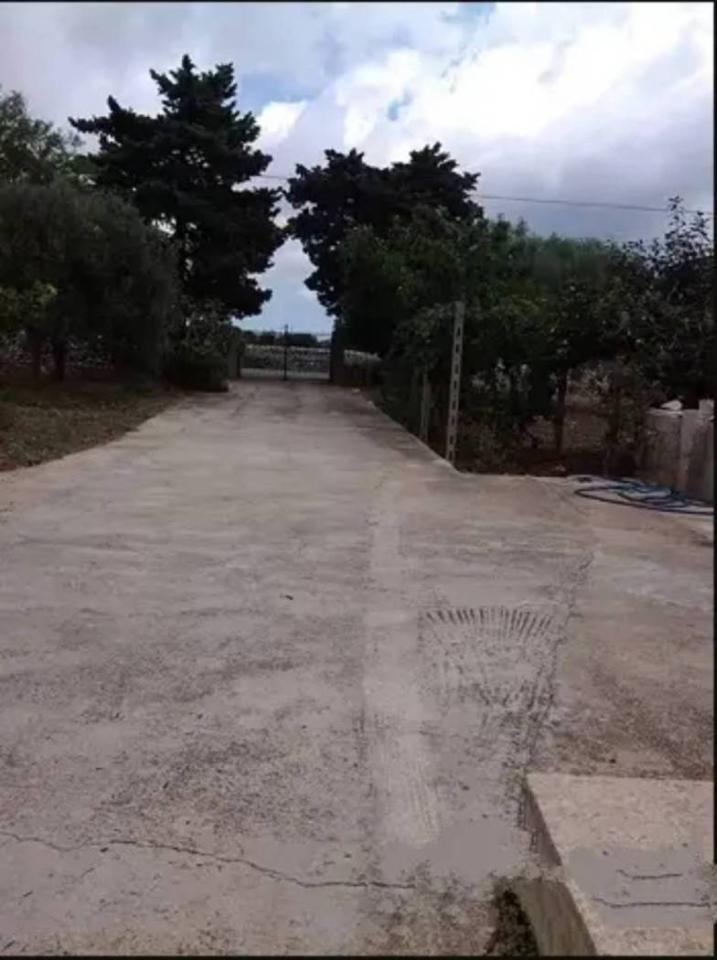 immagine annuncio 2 di 6