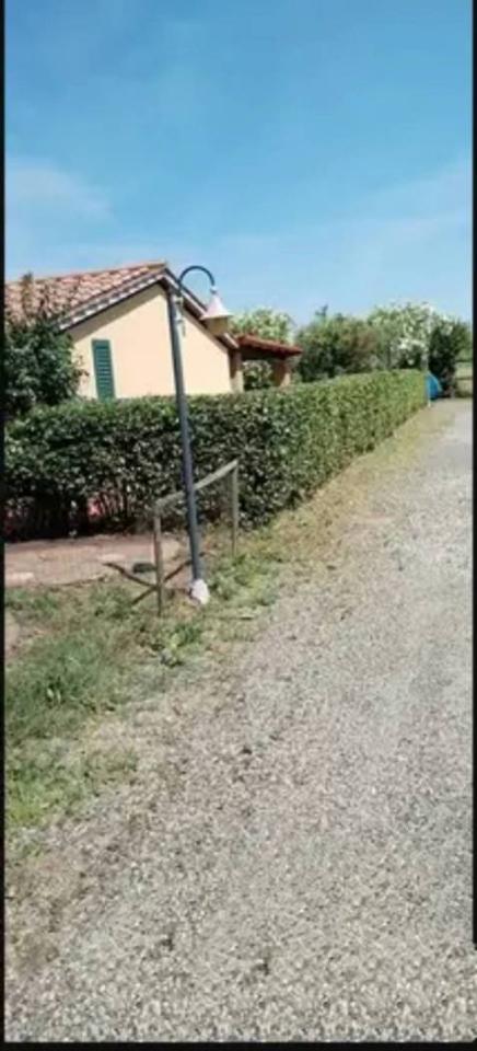 immagine annuncio 6 di 7