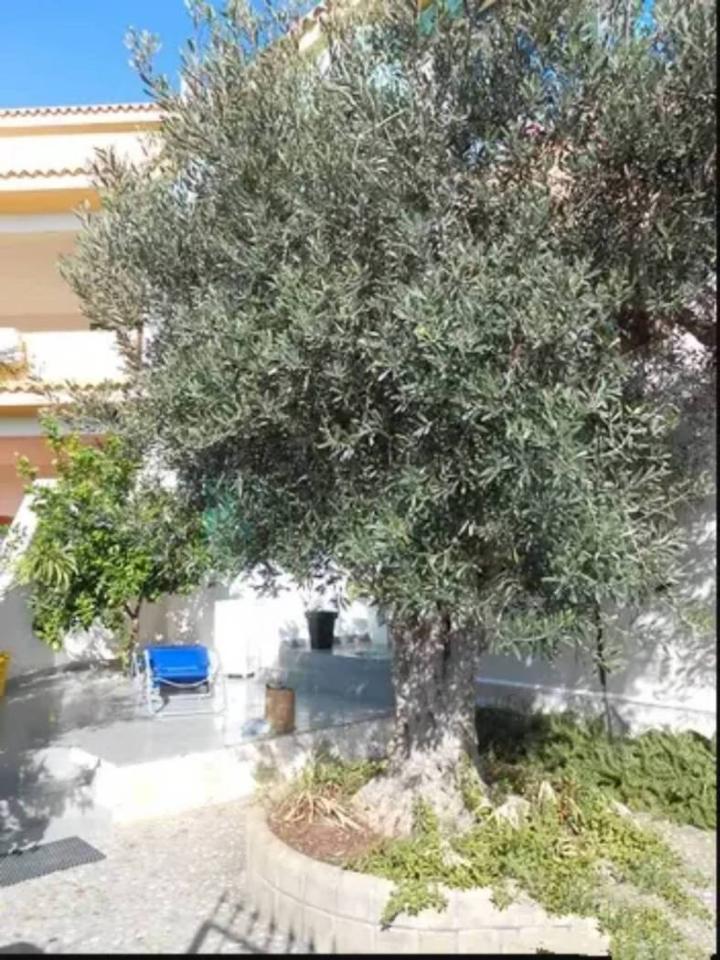 immagine annuncio 5 di 6