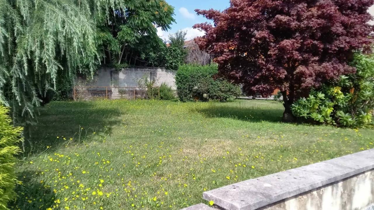 immagine annuncio 12 di 15