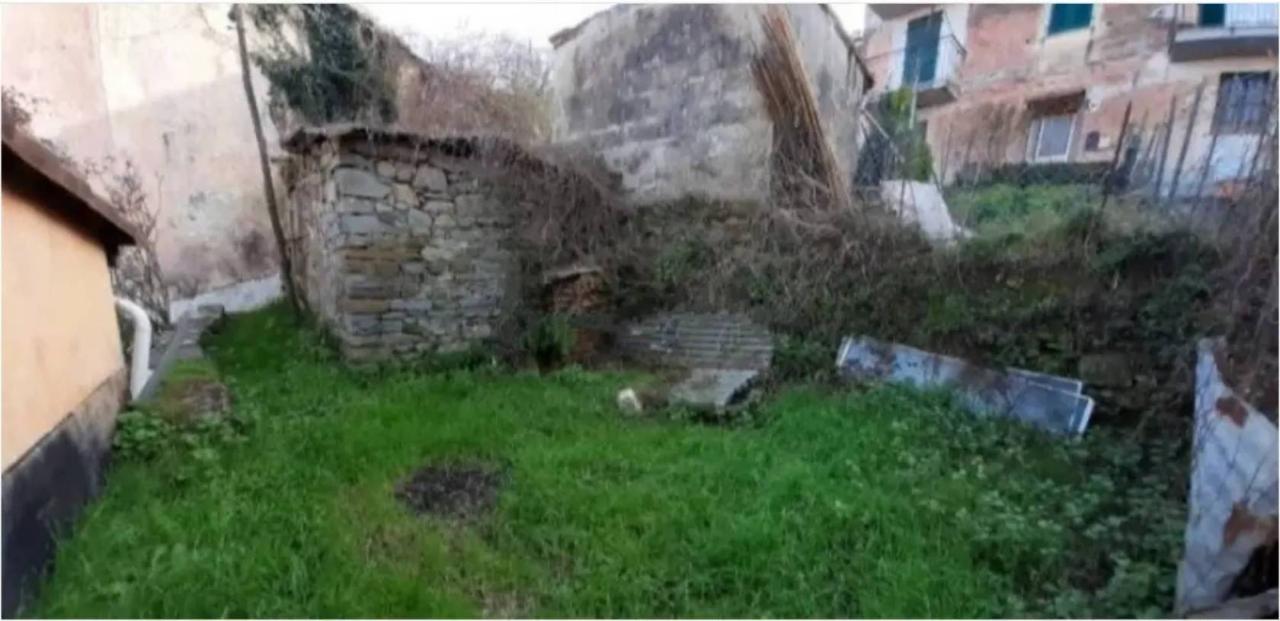 immagine annuncio 5 di 7