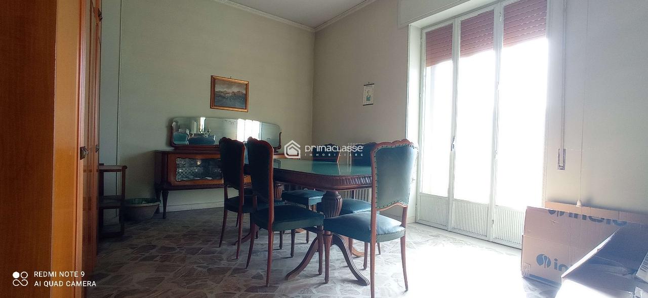 immagine annuncio 5 di 14
