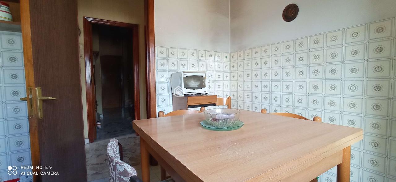 immagine annuncio 4 di 14