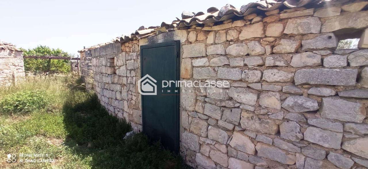 immagine annuncio 5 di 6