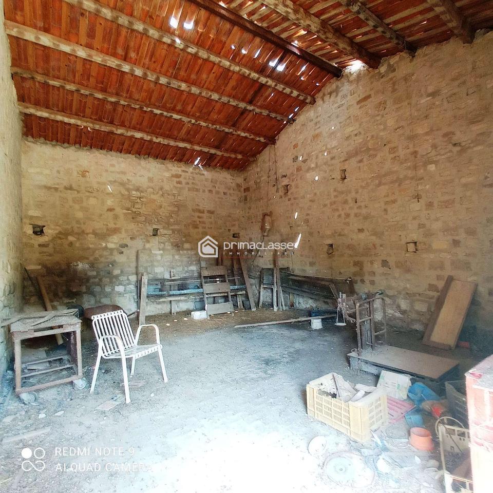 immagine annuncio 10 di 14