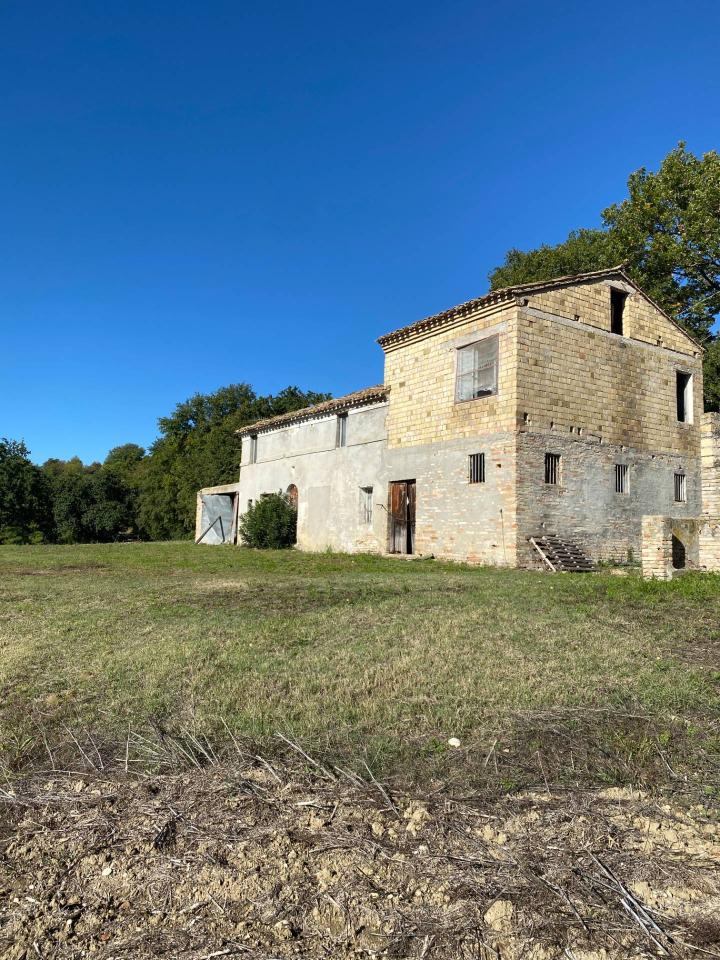 immagine annuncio 2 di 11