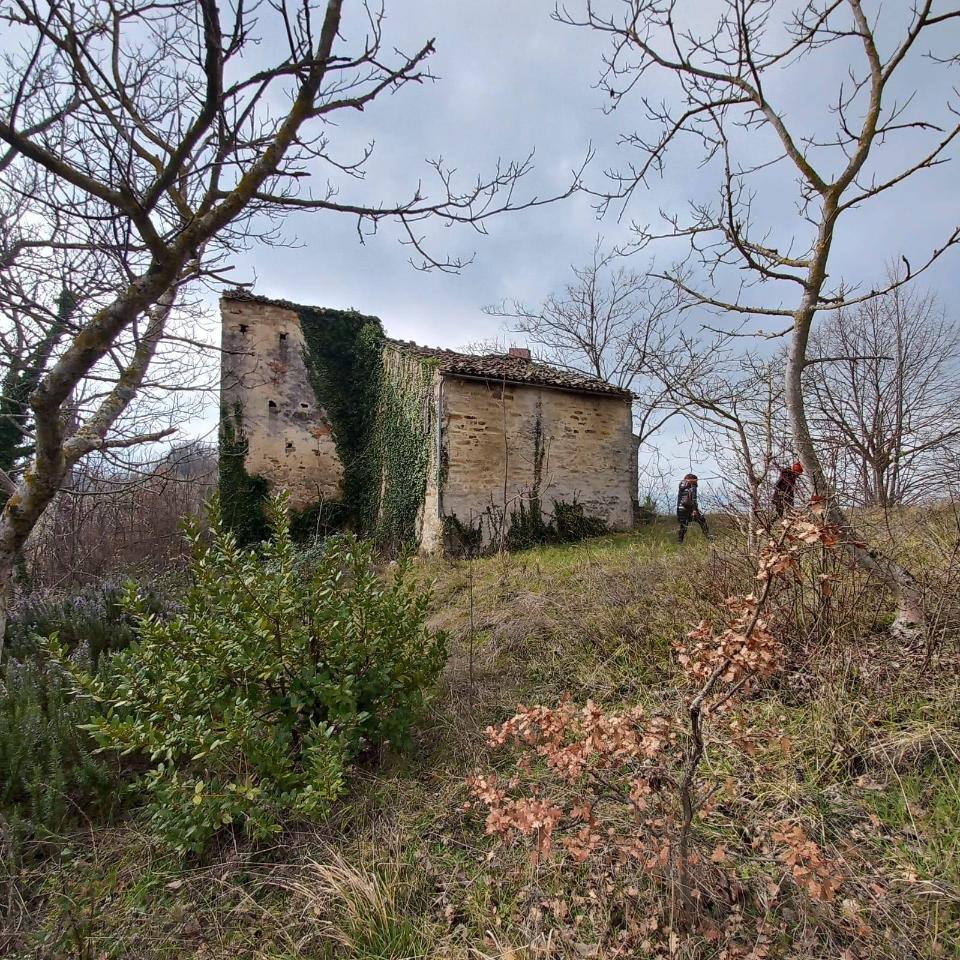 immagine annuncio 14 di 15