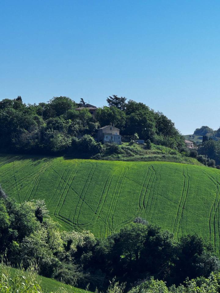 immagine annuncio 11 di 13
