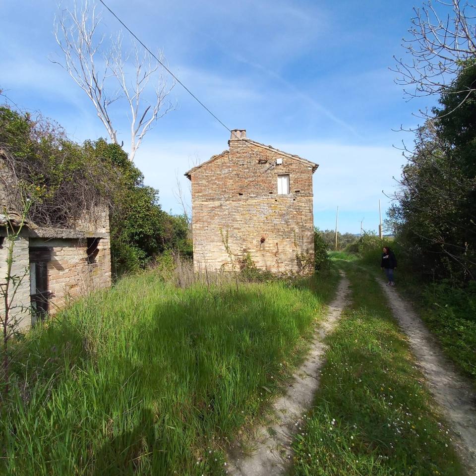 immagine annuncio 12 di 15