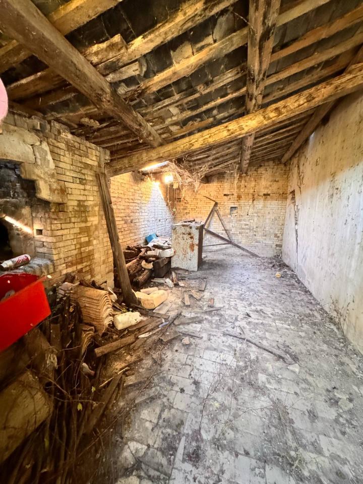 immagine annuncio 8 di 11