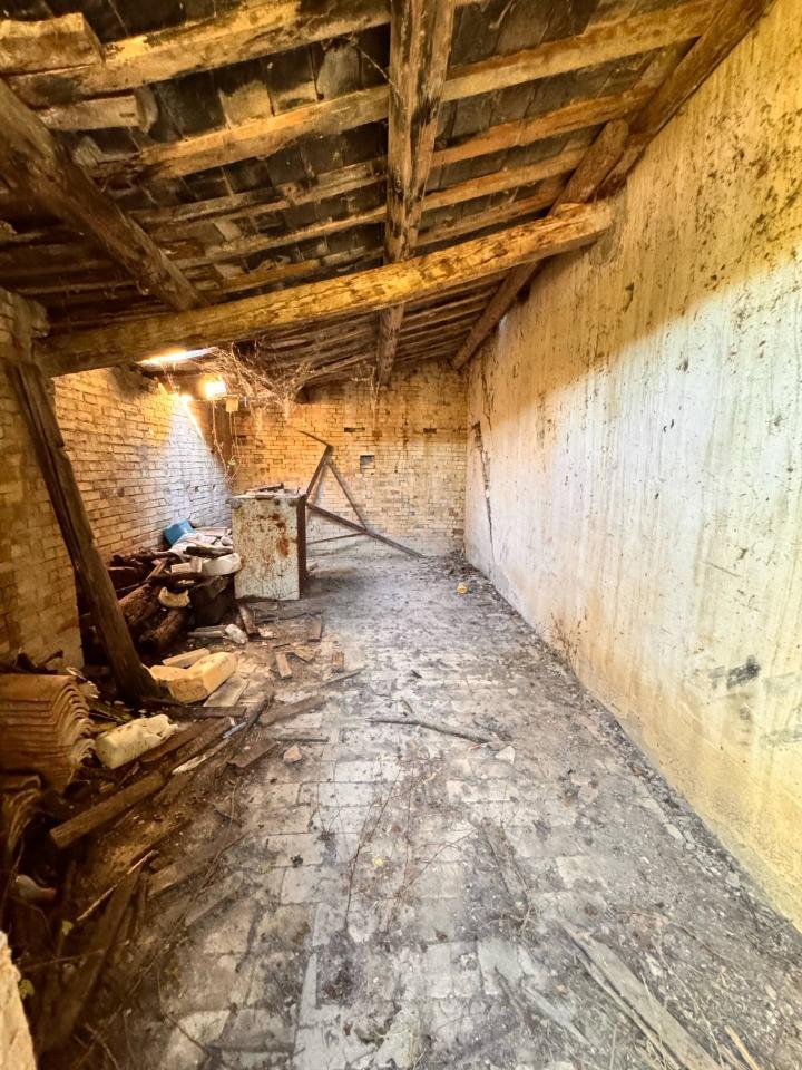 immagine annuncio 7 di 11