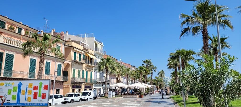 immagine annuncio 3 di 8