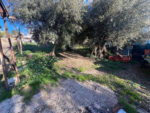 Agricultural land, Fara in Sabina - Photo 1